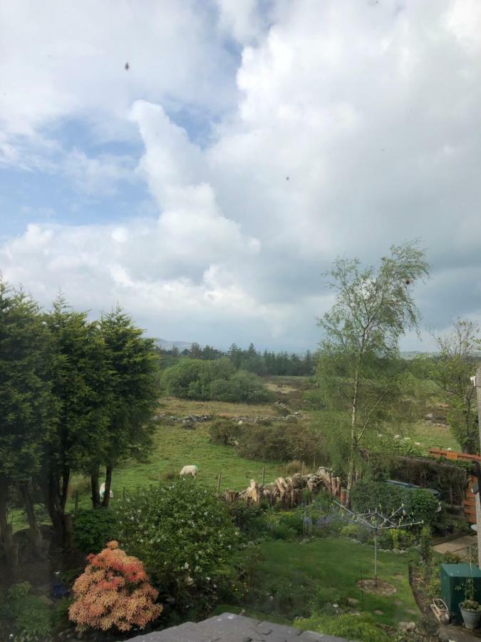 Pen Yr Allt Villa Bangor  Bagian luar foto