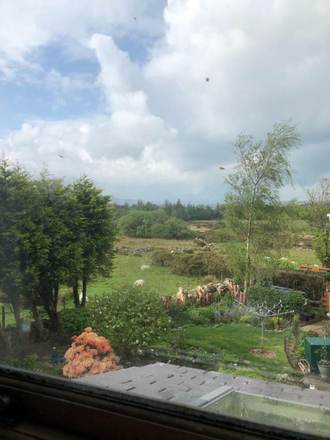 Pen Yr Allt Villa Bangor  Bagian luar foto